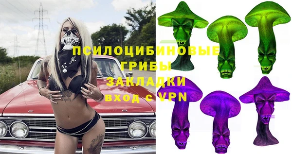 стаф Алексеевка
