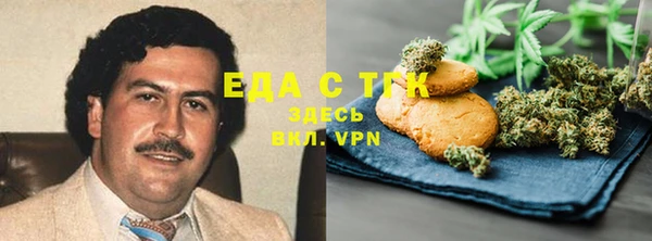 шишки Магас