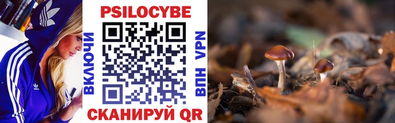 Псилоцибиновые грибы мухоморы Слободской
